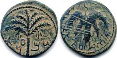 Imaginea prezintă o monedă de bronz emisă în timpul revoltei lui Bar Kokhba, descoperită la Pojejena, județul Caraș-Severin. Pe aversul monedei este ilustrat un palmier cu șapte ramuri: trei laterale și una în vârf. La baza ramurilor, de-o parte și de alta a tulpinii, se află două legături de fructe. Lângă aceste ciorchini de fructe și sub cel din dreapta, se află o legendă în ebraică, SHIM(on). Pe revers, este reprezentată o frunză de viță de vie, cu vârful orientat în jos, iar în jurul ei este o inscripție în ebraică care spune: „Anul II al libertății lui Israel.” Moneda este un simbol important al perioadei revoltei și al identității naționale evreiești. Sursă imagine: Gudea Nicolae, Evreii în provinciile dacice, 106-274 p.Chr., în Ephemeris Napocensis 9–10, p. 197.